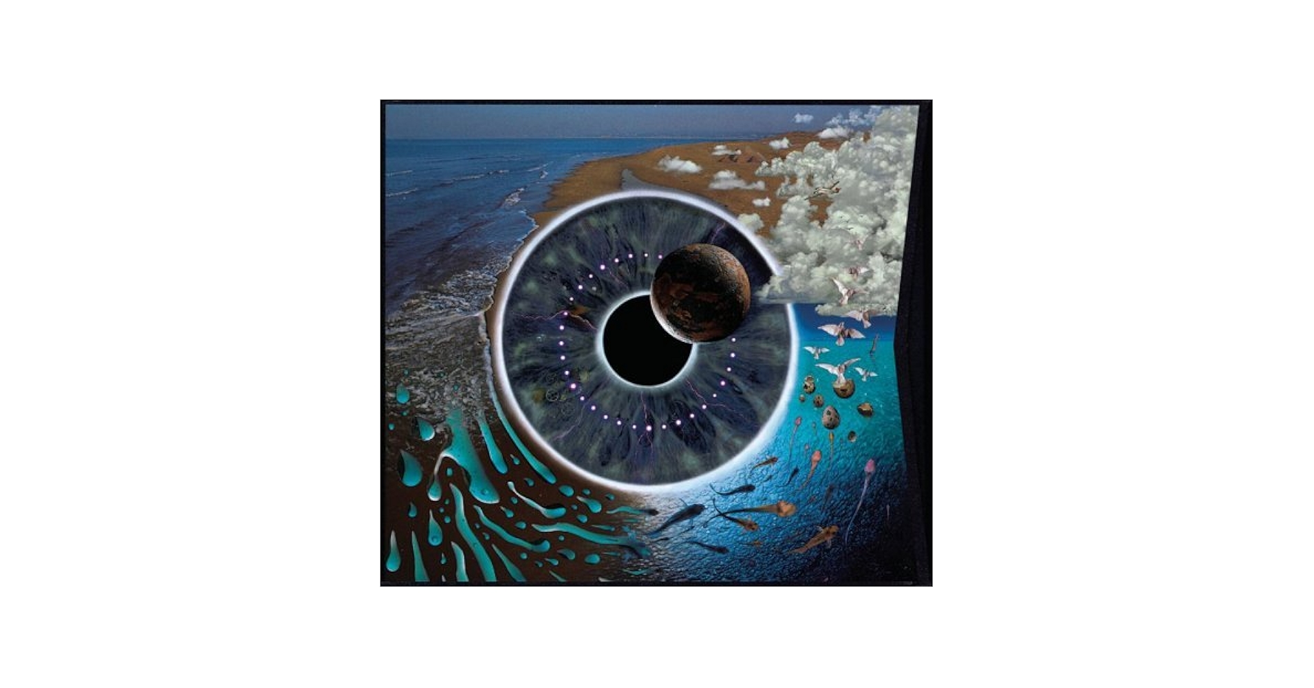 Pink Floyd – Pulse　1995年 UKオリジナル盤 LP × 4 Pulse by Pink Floyd (1995-06-06) - Amazon.com Music